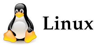 Uso básico de la terminal de Linux